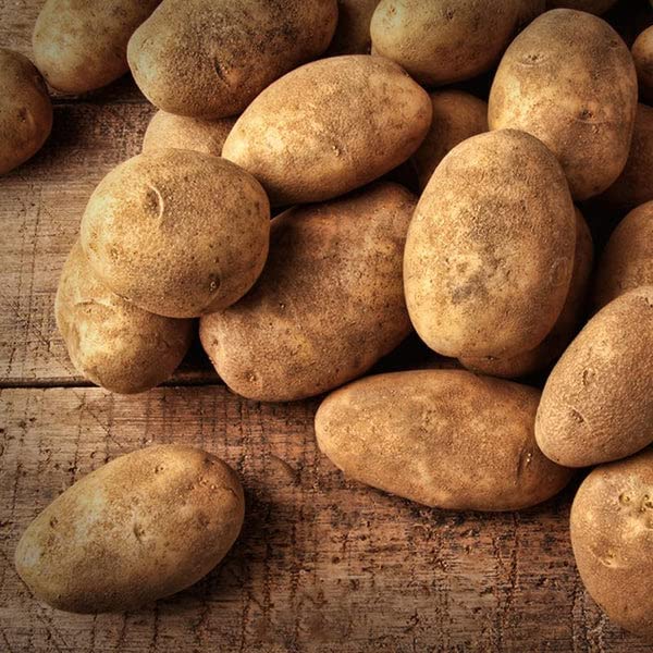 Russet Potato Seeds - 70 TPS True Potato Seeds, Russet Yellow Mix Potatoes Berry for Home Gardening, Farming & Sustainable Agriculture | Grow Your Own Organic Potatoes