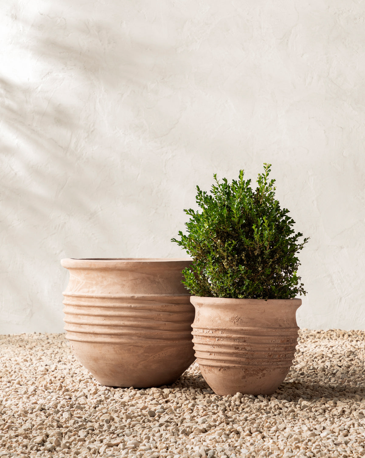 Thayer Planter - Modern Decorative Flower Pot for Indoor & Outdoor Plants - Perfect for Home, Office, and Garden Decor