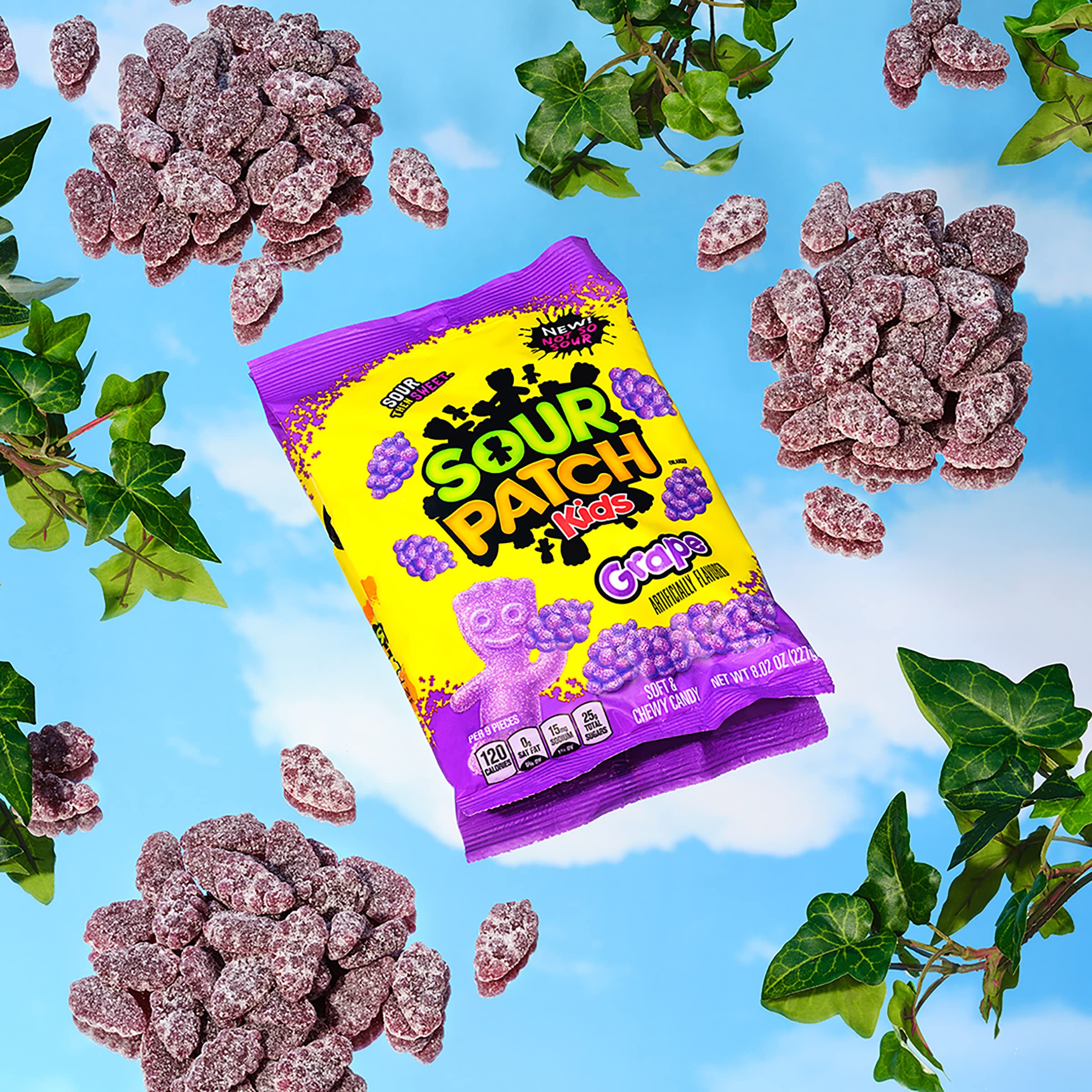 Sour Patch Kids Grape Soft & Chewy Candy - 8.02 oz Pack - Sweet & Tangy Sour Candy for Parties, Movies & Snacking