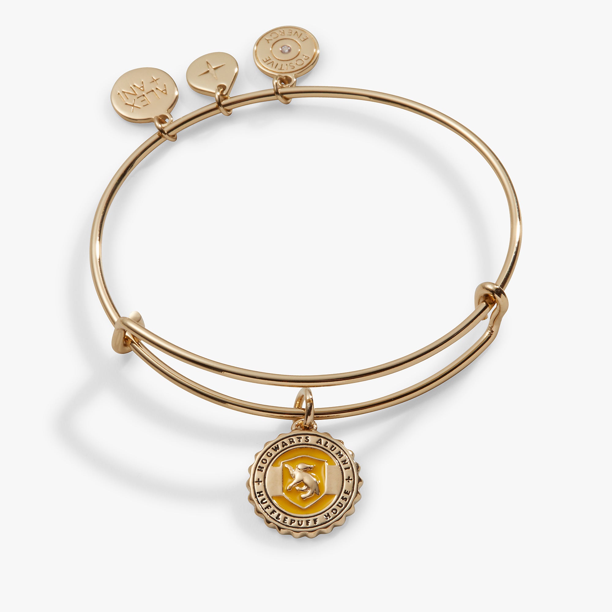 Harry Potter™ Hufflepuff House Charm Bangle - Official Licensed Wizarding World Jewelry for Fans | Perfect for Cosplay, Gift Giving & Harry Potter Themed Parties