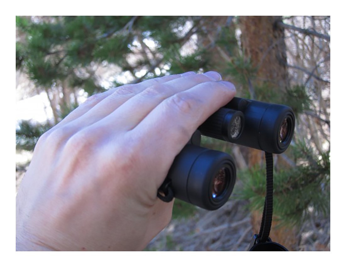 Leica 10x25 Ultravid BR Binoculars - High Power Compact Binoculars for Bird Watching, Hiking & Travel - Durable Black Rubber Armor Coating