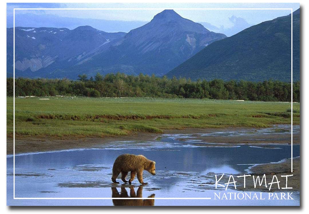 Alaska Travel Souvenir - 2.5