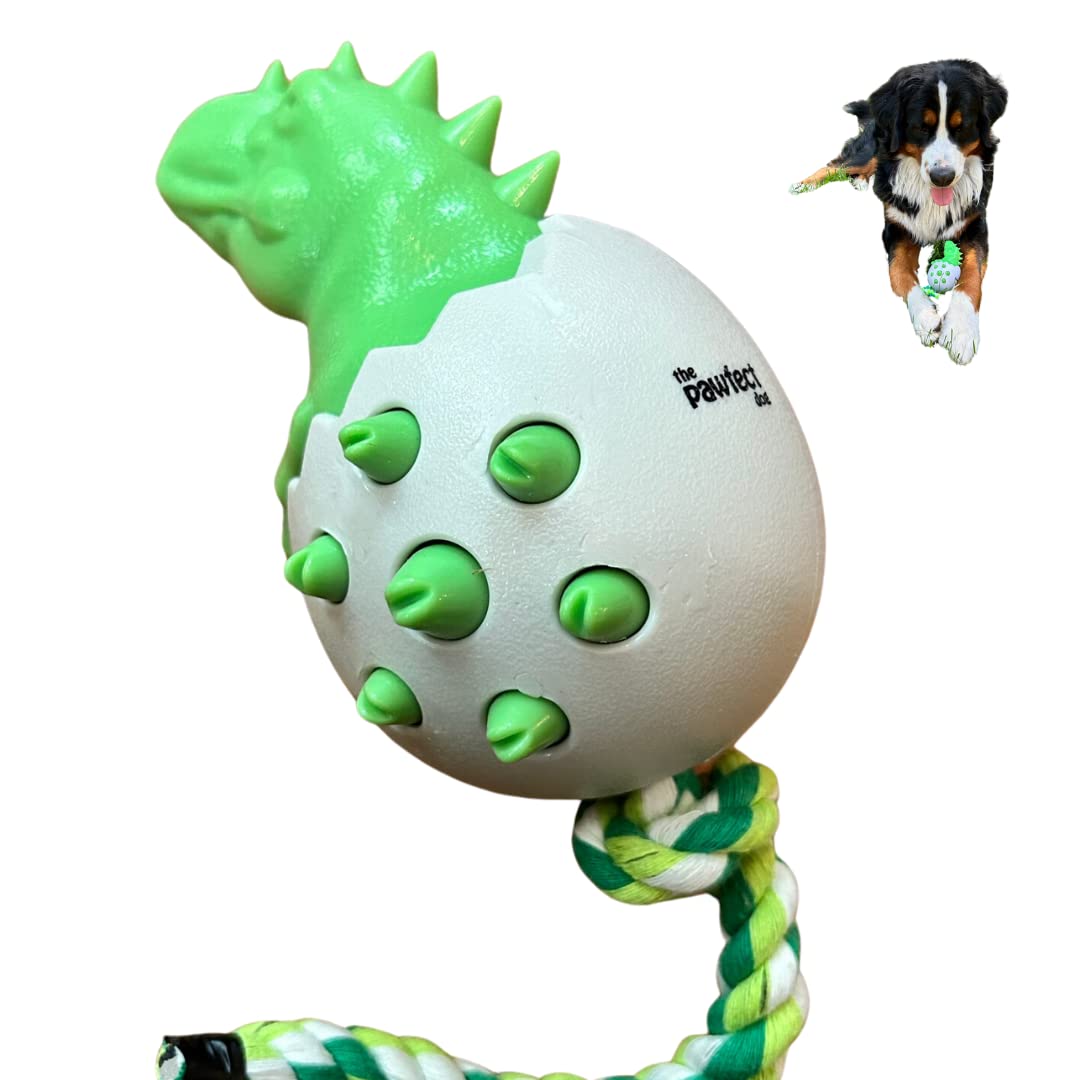 Durable Rubber Dog Chew Toy for Aggressive Chewers - Interactive Puppy Teething & Fetch Toy with Rope (Green) | Perfect for Puppy Training, Indoor Play & Outdoor Fetch Games