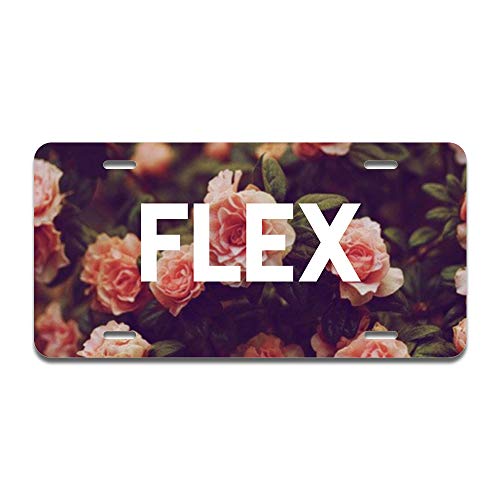 Flex
