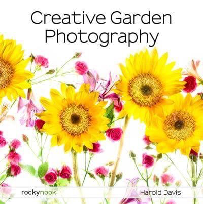 Creative Garden Photography Backdrop - Natural Floral Background for Outdoor Portraits, Newborn Photos, and Spring-Themed Events | Perfect for Instagram, Pinterest, and Social Media Content Creation