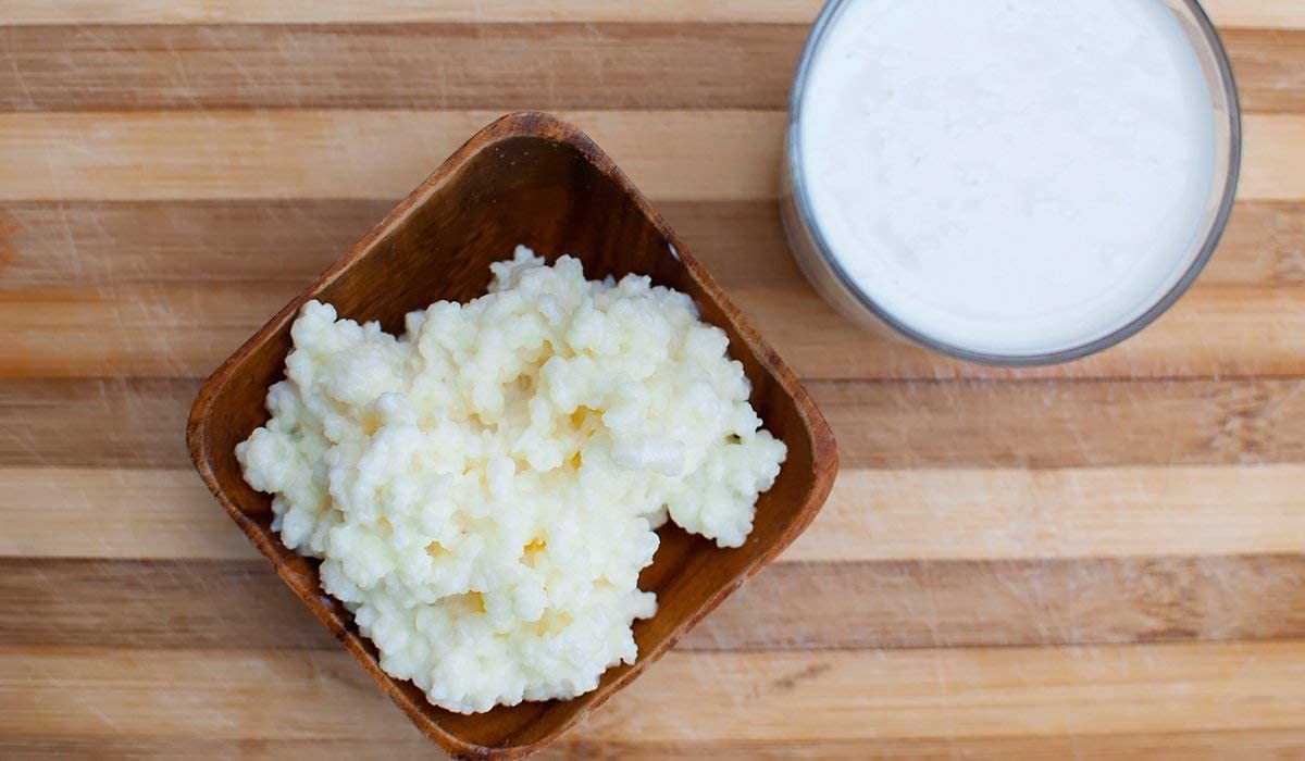 Organic Milk Kefir Grains Starter Kit - Live Probiotic Culture for Homemade Fermented Drinks with Whole Milk, Almond Milk, Goat Milk or Coconut Milk | Perfect for Gut Health, Smoothies & Healthy Breakfast