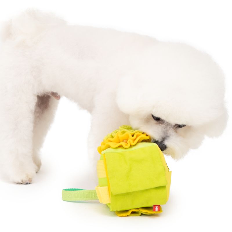 Bacon Scented Cube Nose Work Toy for Dogs - Interactive Puzzle Game for Training & Enrichment | Indoor & Outdoor Use