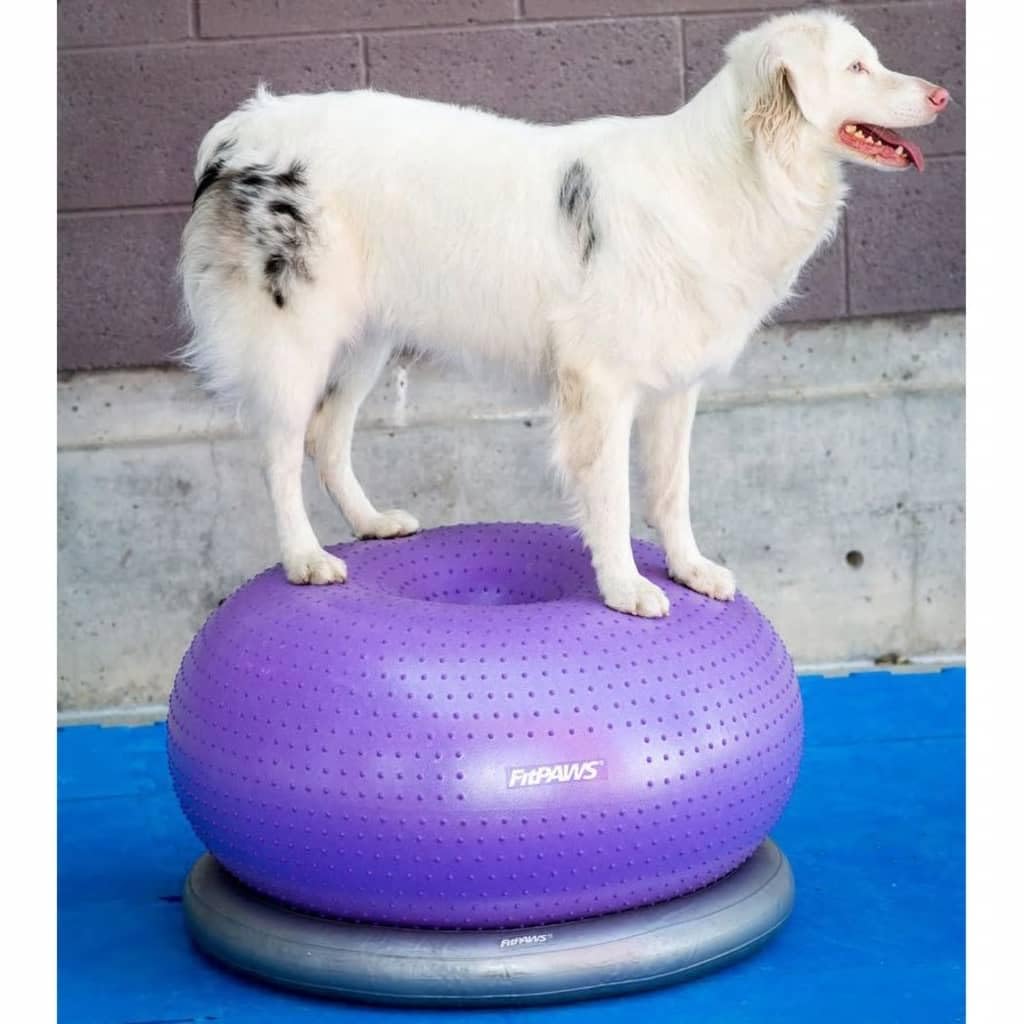 FitPAWS® TRAX™ Donut Dog Balance Training Platform - Core Strength & Stability Exercise Equipment for Canine Fitness - Perfect for Agility Training, Rehabilitation & Indoor Workouts