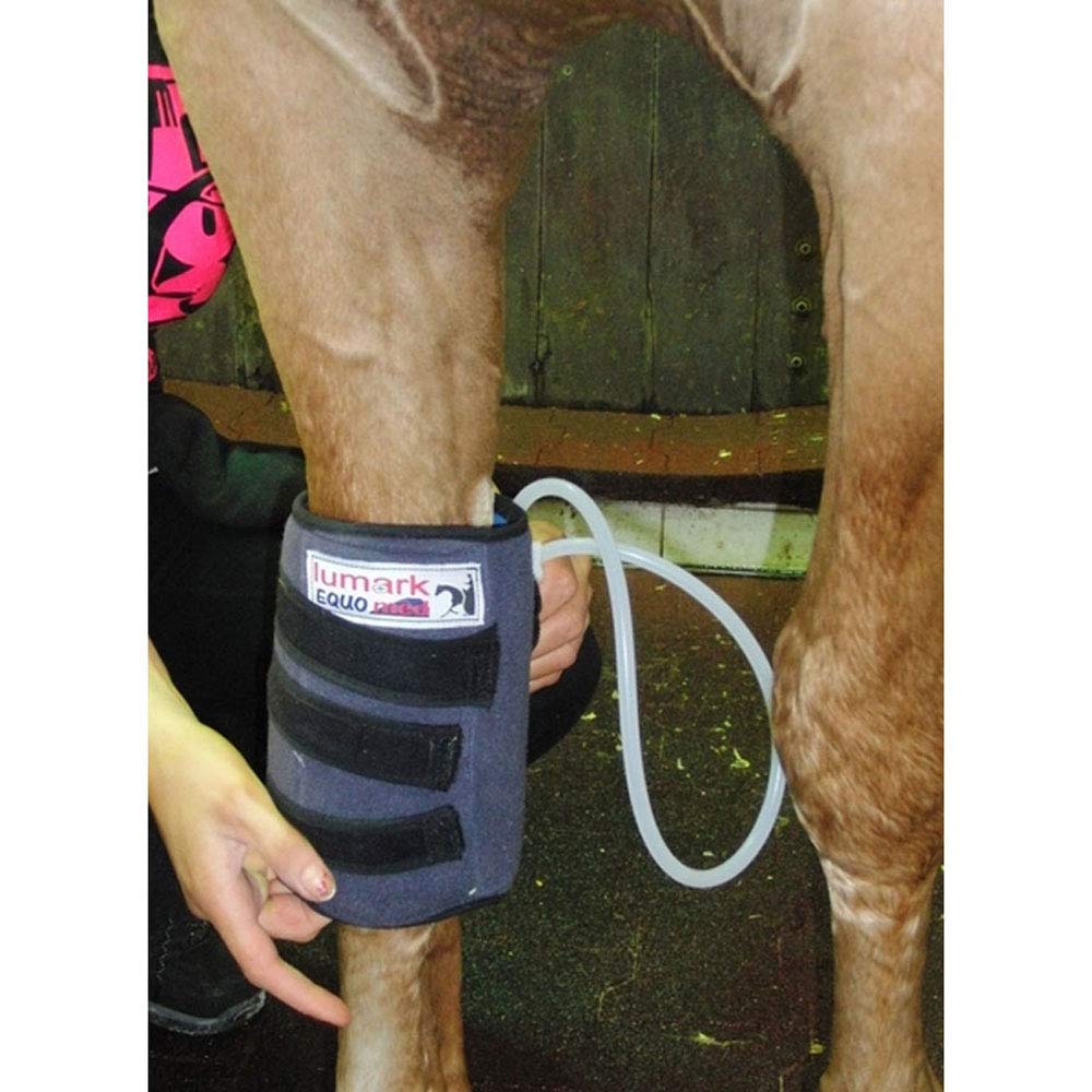 EL98031 Horse Knee & Fetlock Compression Support Boot - Therapeutic Wraps for Equine Joint Pain Relief & Injury Recovery - Ideal for Training, Racing & Post-Surgery Rehabilitation