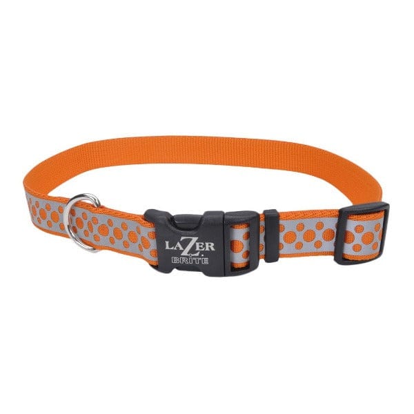 Lazer Brite Reflective Adjustable Dog Collar - High Visibility Safety Pet Collar for Night Walking, Running, and Outdoor Adventures