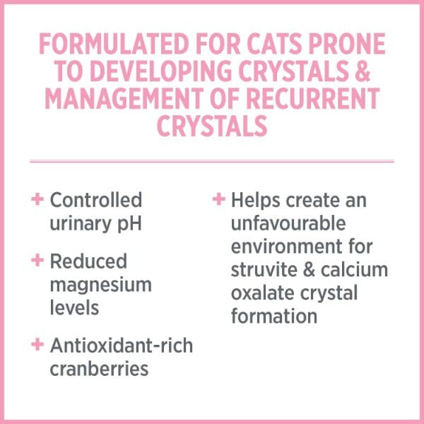 Nutrience Care+ Urinary Health Dry Cat Food for Adult Cats - High Protein, Low Magnesium Formula - Supports Kidney & Bladder Health - Ideal for Indoor Cats & Urinary Tract Issues
