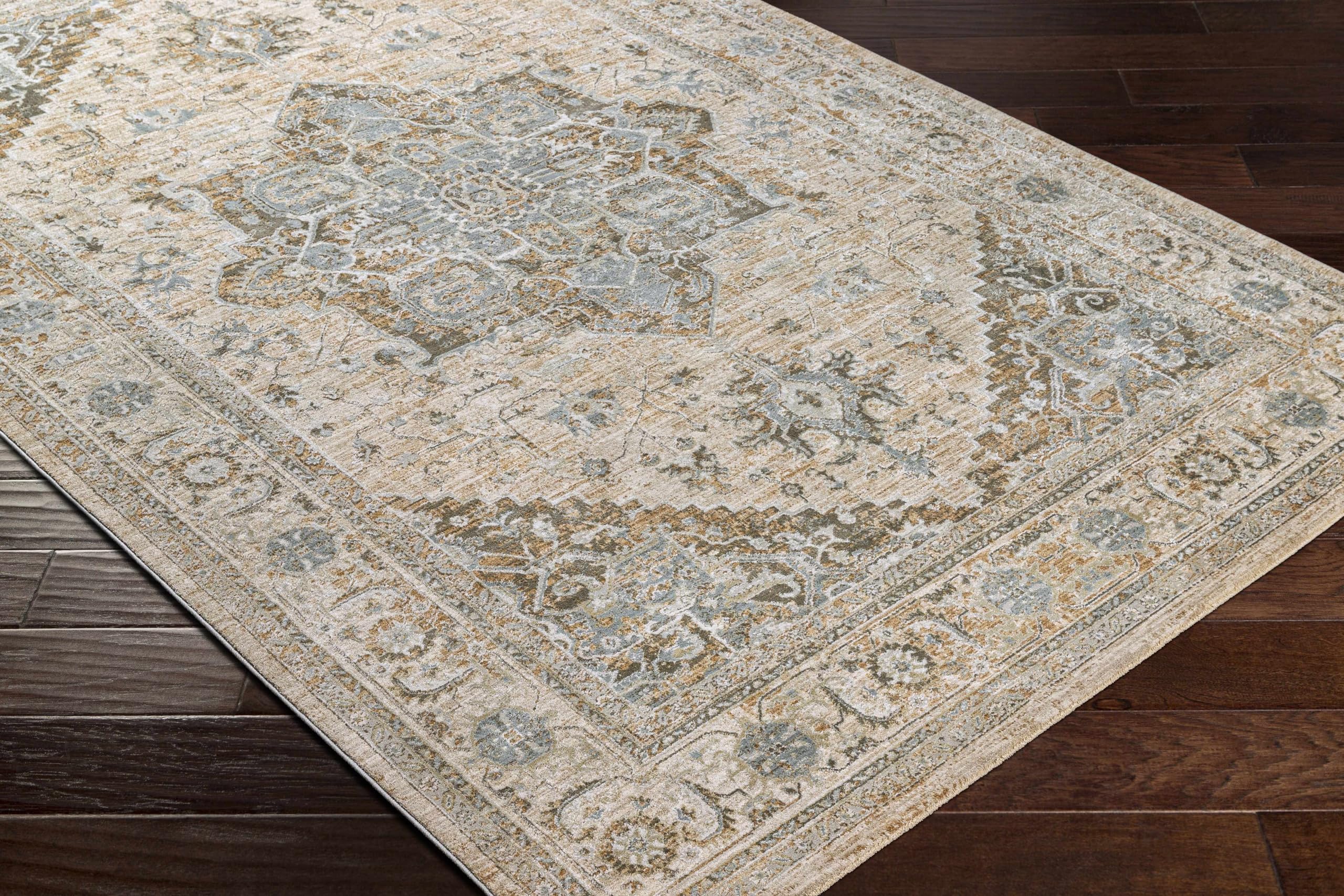 Hauteloom Ballisodare Soft Plush Area Rug for Living Room & Bedroom - Gray, Green, Beige - 9' x 12'2