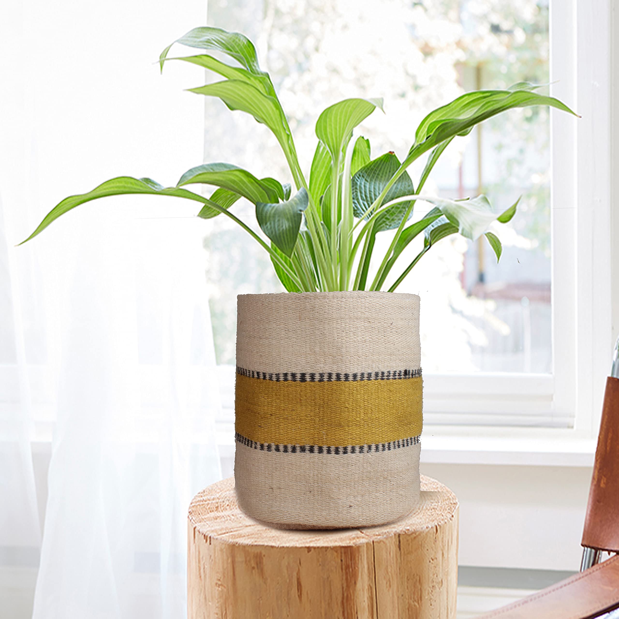 Modern Woven Planter Basket for 10