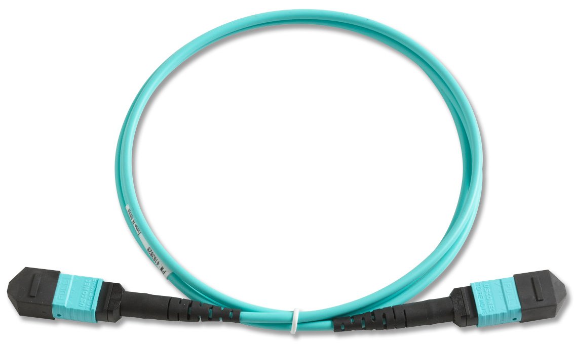 Fluke Networks TRC-MPO-PP-B 1m MPO/MPO Pinned/Pinned Type B Fiber Optic Test Reference Cord | High-Speed Network Testing Accessory for Data Centers & Telecom Applications