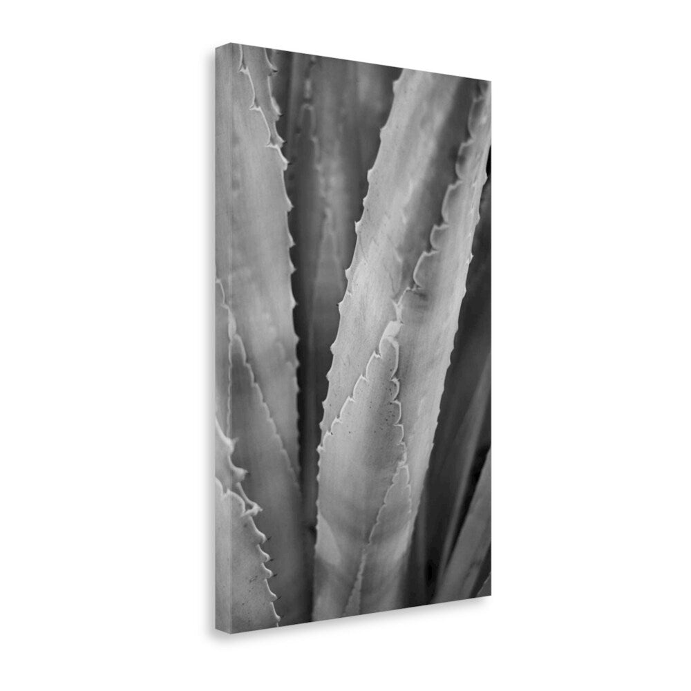 Abstract Agava I by Elizabeth Urquhart - Premium Giclee Print on Gallery Wrap Canvas Wall Art - Perfect for Living Room, Bedroom & Office Decor
