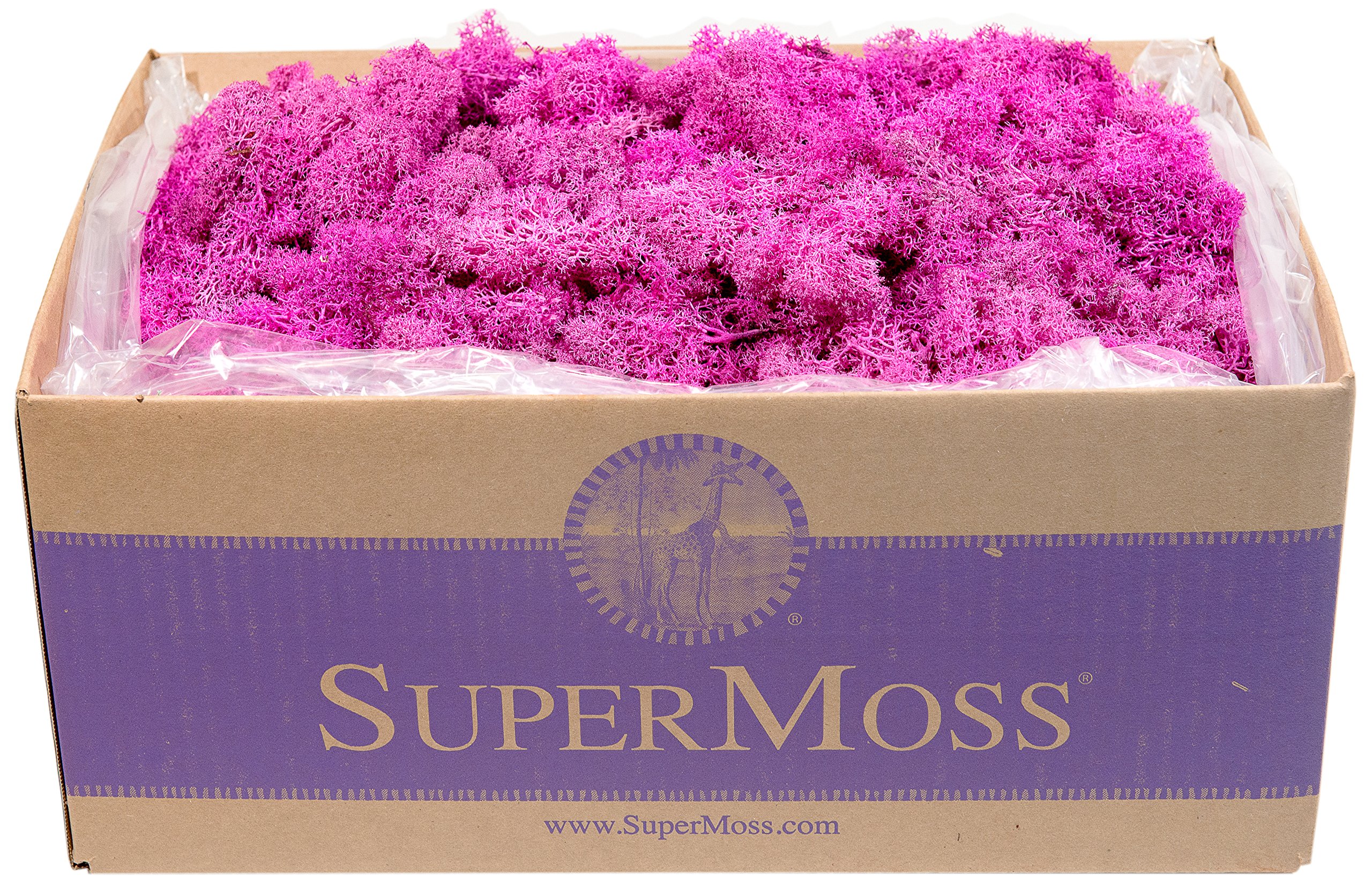 SuperMoss (23099) Preserved Pink Reindeer Moss - 3 lb Natural Decorative Moss for Terrariums, Floral Arrangements & Home Decor