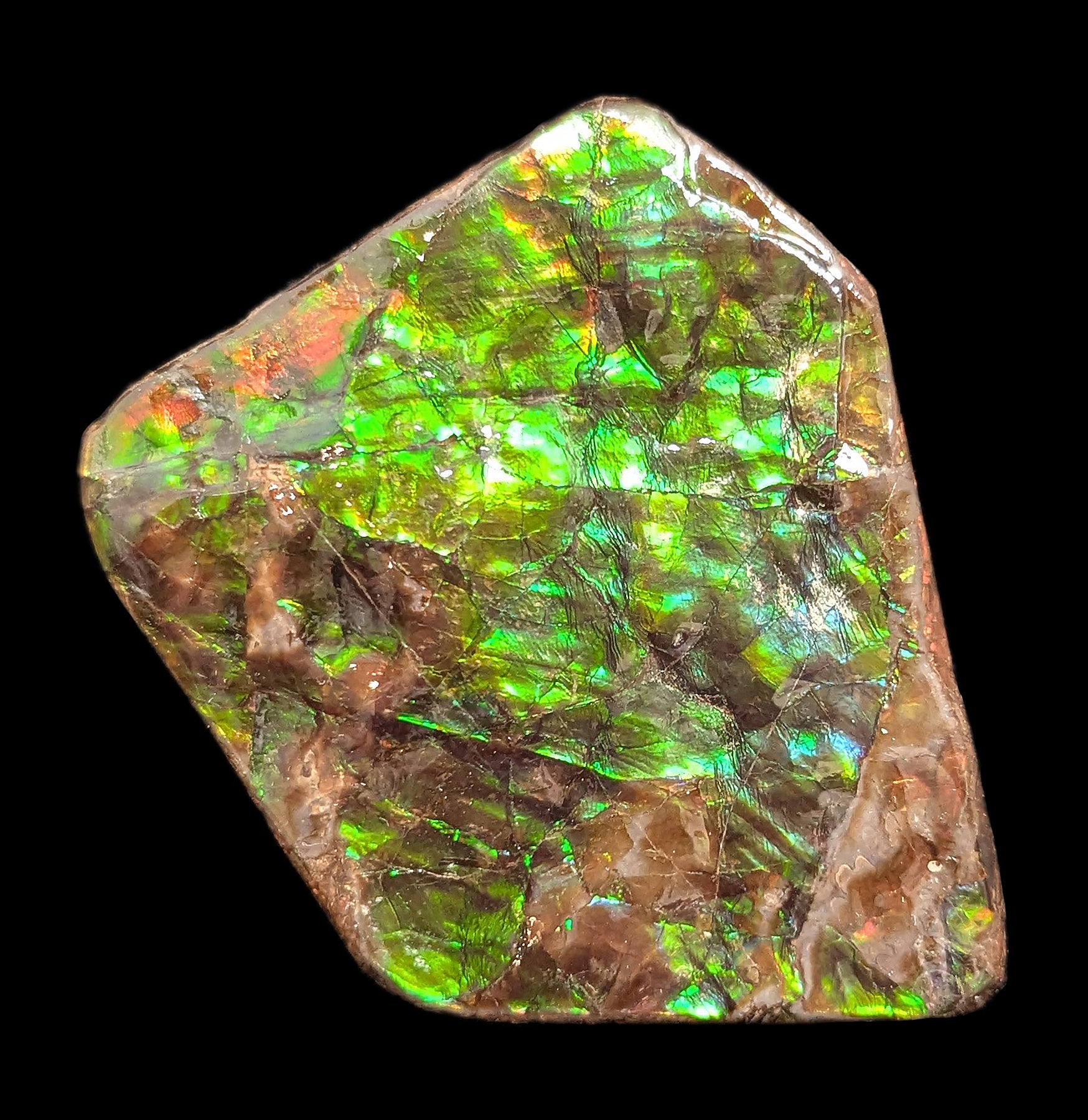 Natural Large Ammolite Gemstone Fragment - Rare Iridescent Fossilized Shell for Jewelry Making & Mineral Collection | Perfect for DIY Crafts, Home Decor, and Healing Crystal Displays