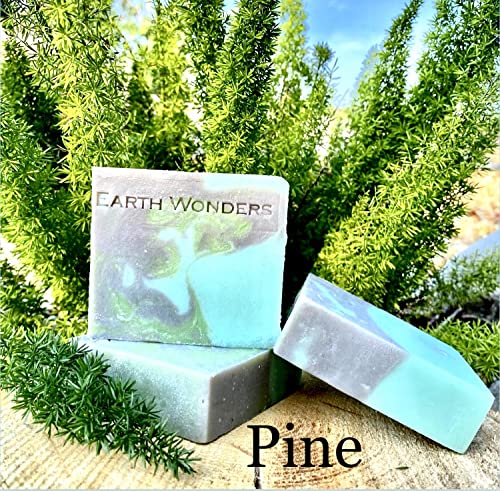 Pine