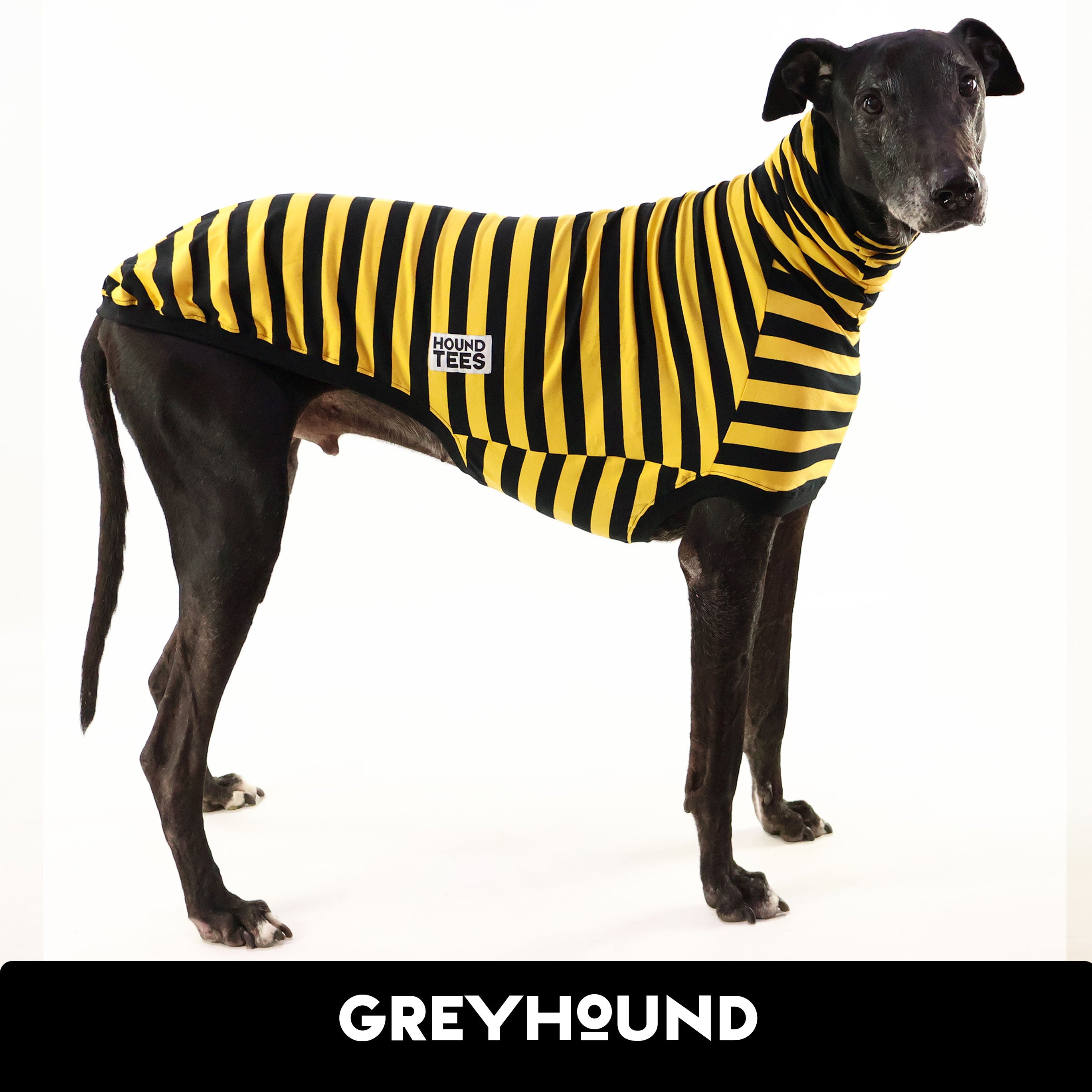 Odlaw Greyhound Sleeveless Hound T-Shirt for Men - Comfortable Dog Lover Apparel for Casual Wear, Running & Outdoor Activities