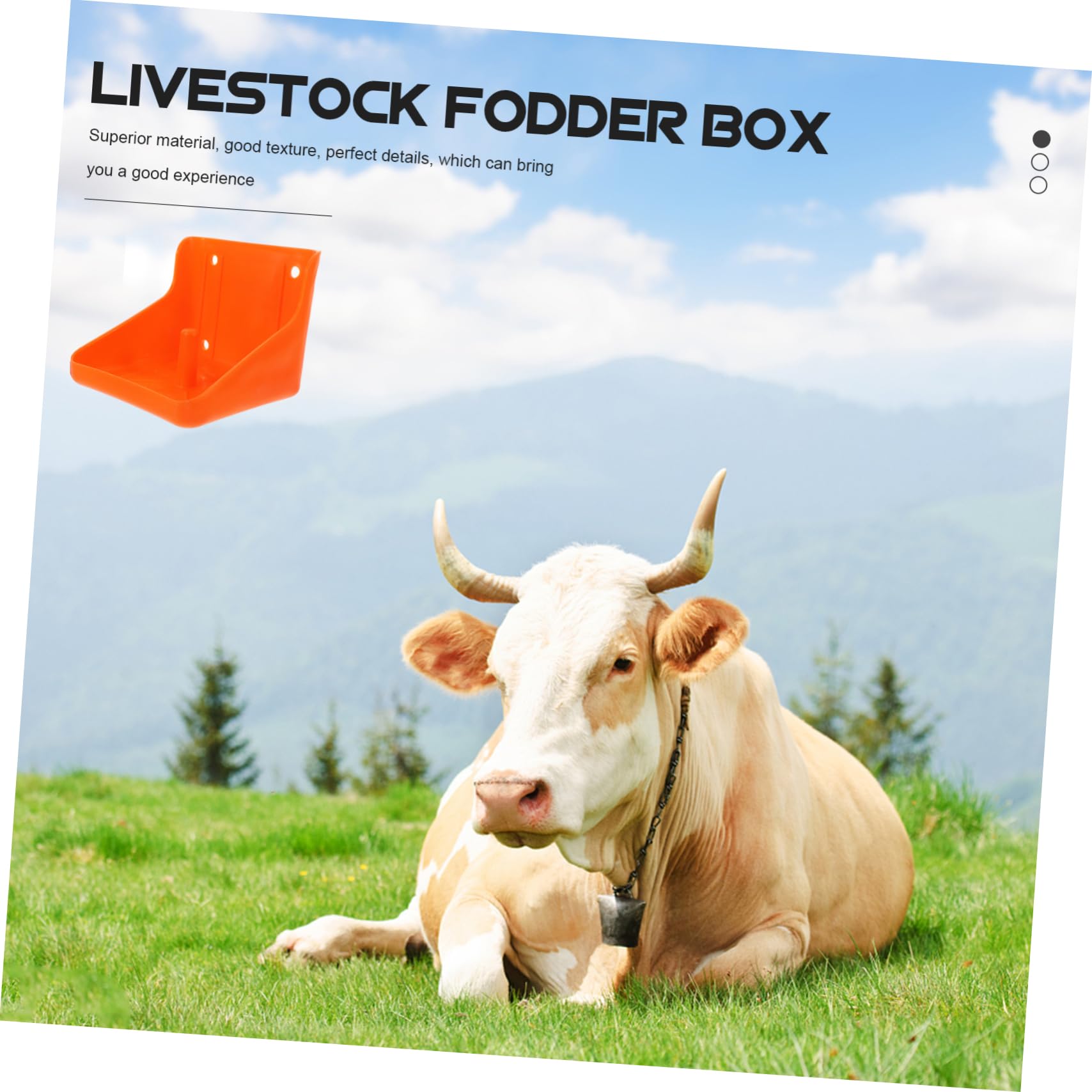NOLITOY 4-Piece Sheep Salt Holder Rack - Salt Block Lick Brick Box for Livestock Feeding - Durable PP Plastic Feeder for Cattle, Sheep & Terrariums - Perfect for Farm Animals & Pet Enclosures