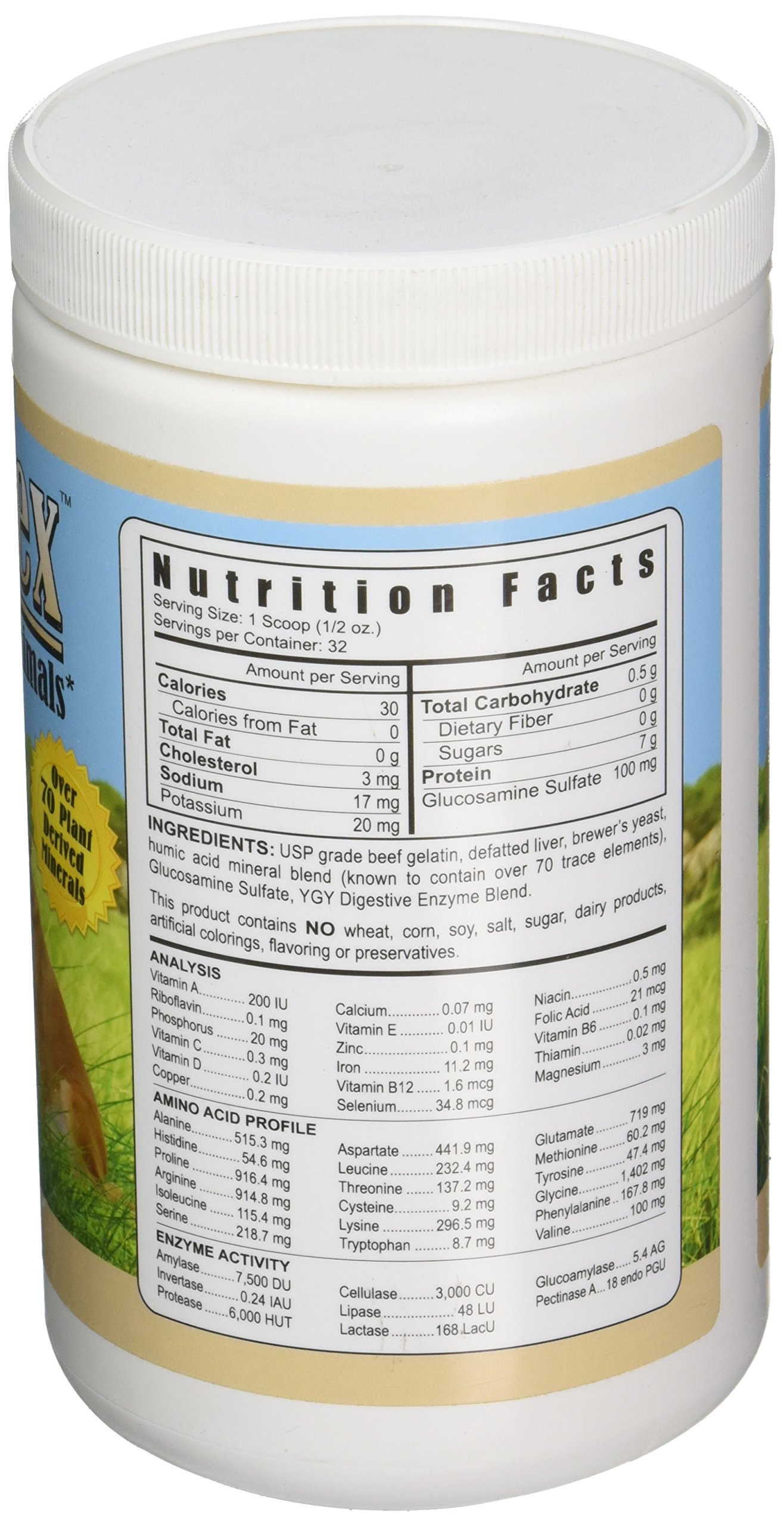 YOUNGEVITY Arthrydex Complete Nutritional Supplement for Pets - Vitamins, Amino Acids & Enzymes for Healthy Bones & Joints - 1 lb Canister - Supports Mobility & Joint Comfort for Dogs & Cats