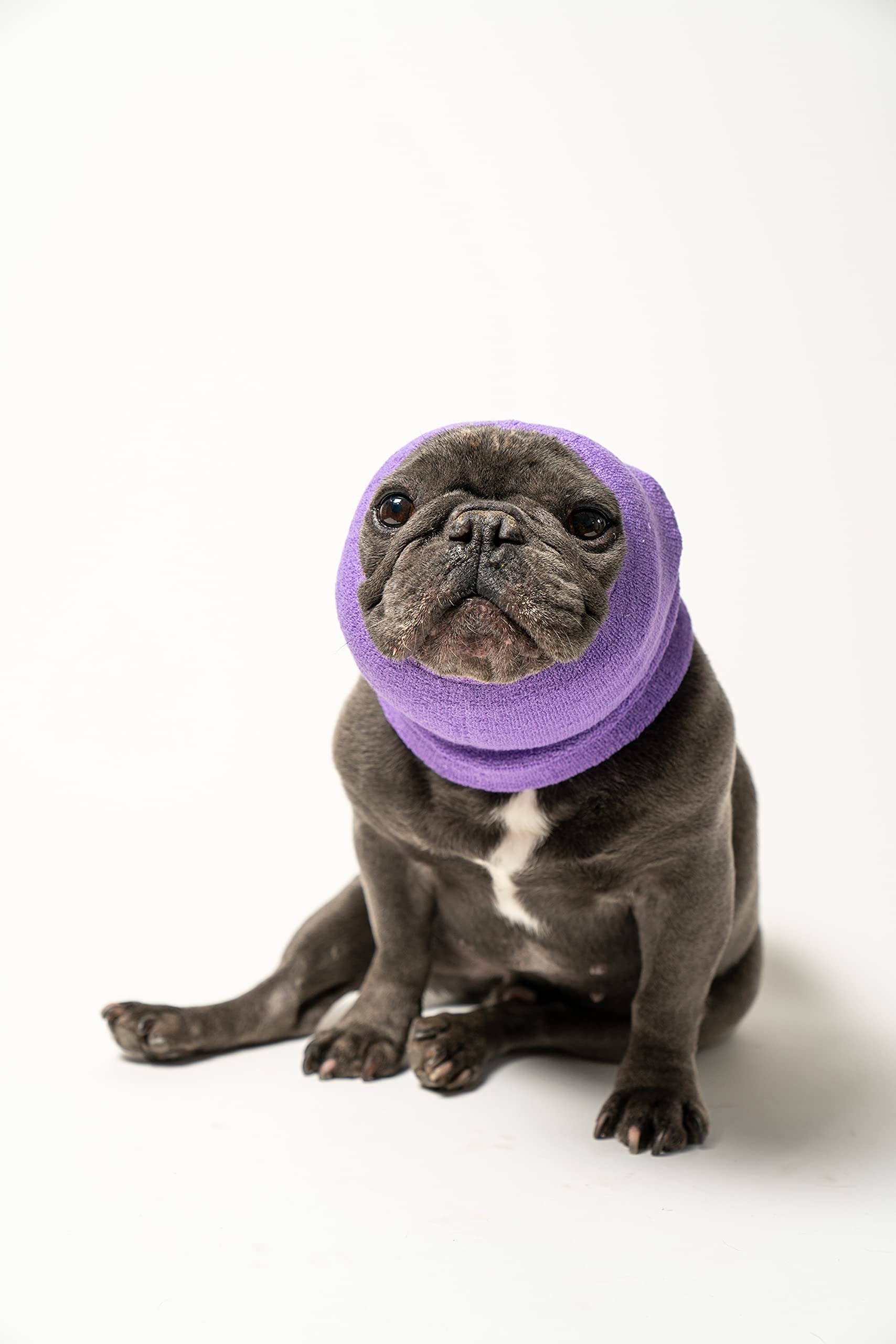 Pet Hoodz for Dogs - Anxiety Relief, Grooming & Ear Protection Hoodie | Calming Compression Ear Muffs for Small Dogs (Lavender) | Perfect for Vet Visits, Grooming & Fireworks Anxiety