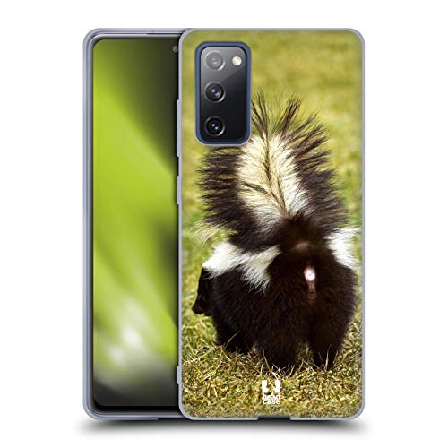 Striped Skunk