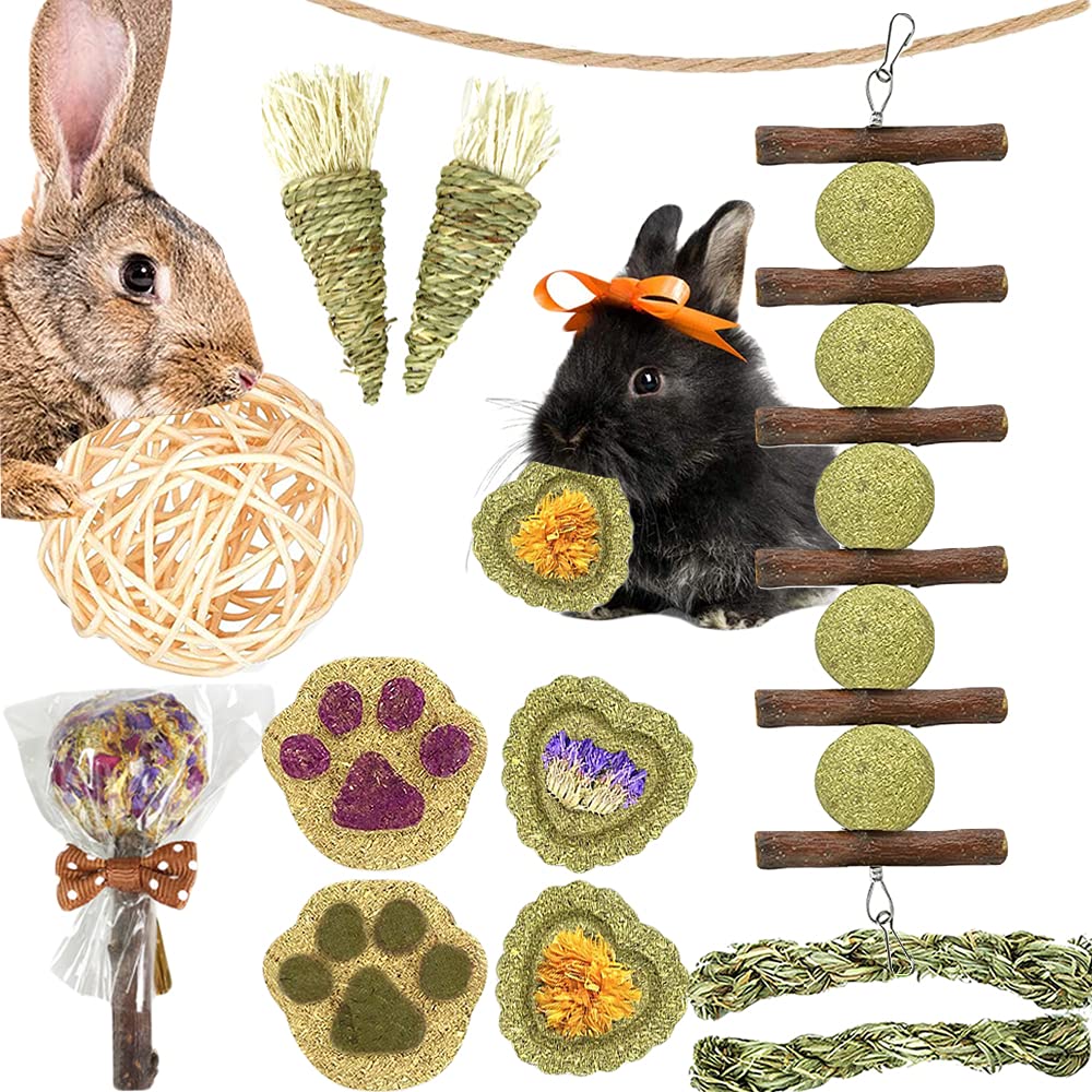 Dbeans Flourishing Guinea Pig Toys - 11-Pack Natural Mixed Molar Grass Cake Chew Toys for Small Animals | Promotes Dental Health for Rabbits, Chinchillas, Hamsters & Guinea Pigs | Perfect for Cage Enrichment & Teeth Maintenance