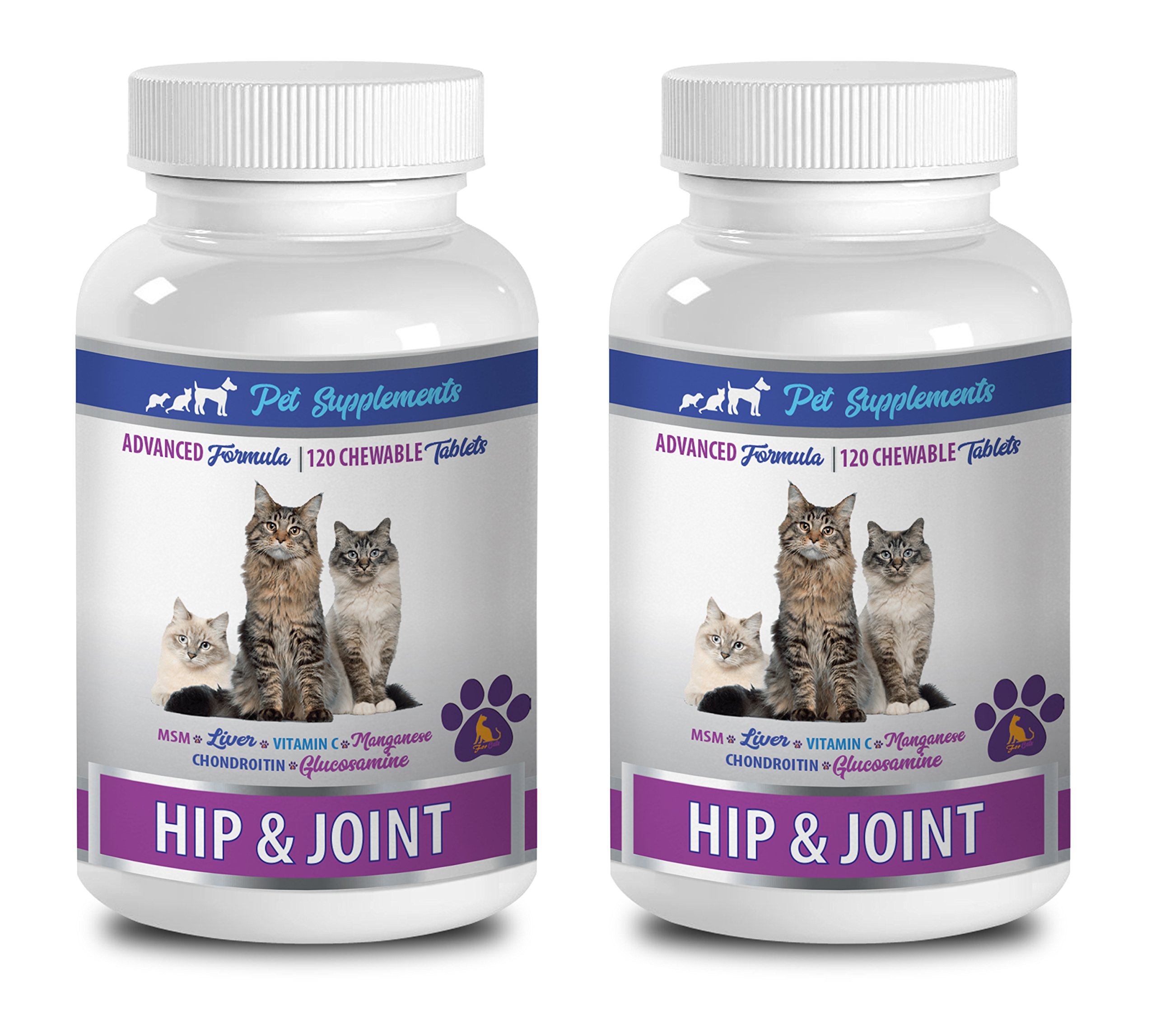 Premium Senior Cat Joint Supplement for Hip & Joint Health - Advanced Support Formula with Glucosamine & Chondroitin - Healthy Chewy Cat Treats - 2 Bottles (240 Chews) - Ideal for Aging Cats with Mobility Issues & Arthritis Relief