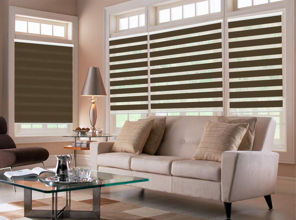 Premium Light Filtering Zebra Window Blinds 77