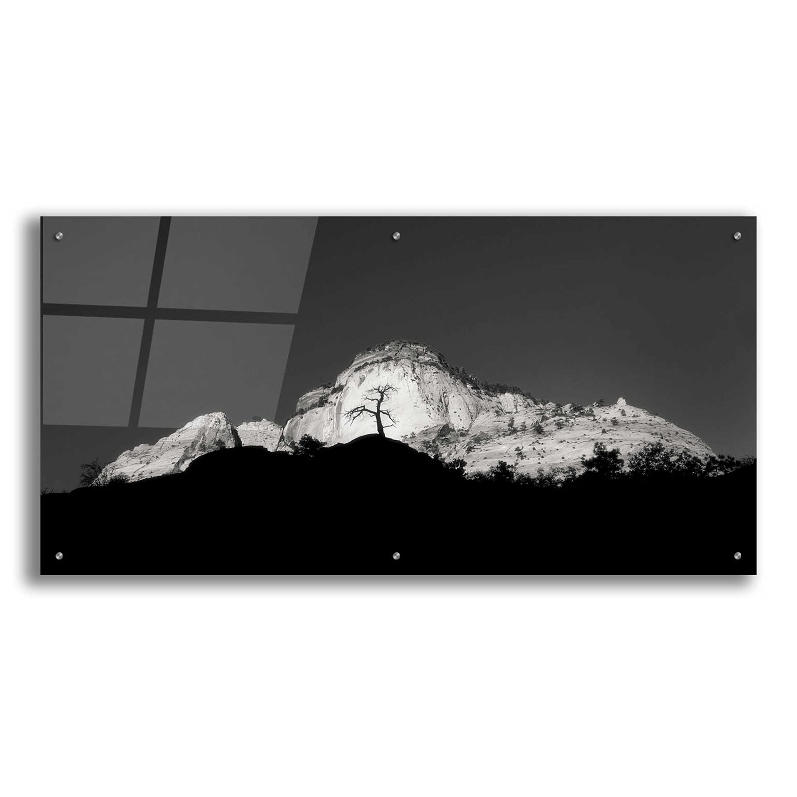 Zion Tree Silhouette Wall Art by Thomas Haney - 48x24 Inch Acrylic Glass Canvas Print - Modern Landscape Painting for Living Room, Bedroom & Office Decor