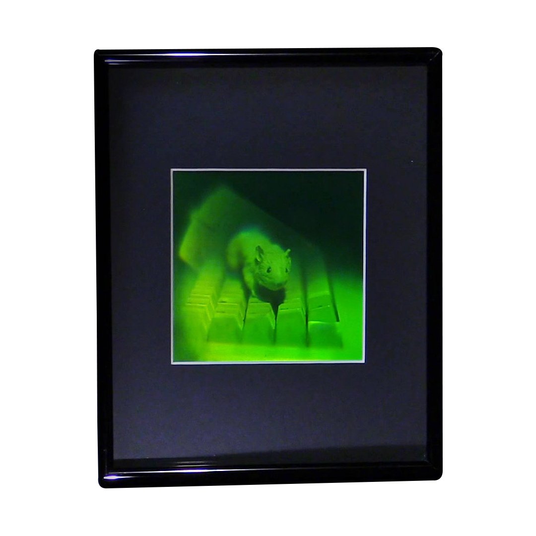3D Holographic Mouse Multi-Channel Framed Picture - Collectible Photopolymer Film Art for Home Decor, Office Display & Unique Gift Ideas