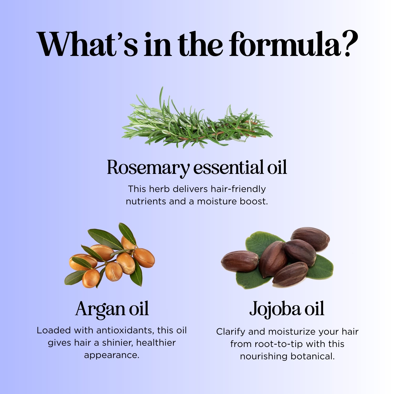 Folimax Citrus Rosemary Shampoo for Hair Growth & Scalp Care - Refreshing Natural Shampoo for Dry, Damaged Hair - Perfect for Daily Use & Salon Results at Home