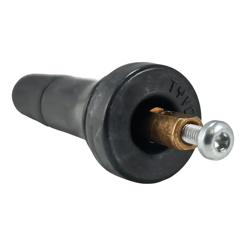 AAValueline TPMS 20008 Snap-in Valve for GM Vehicles (0.453 Inch, Pack of 100) - Perfect for Tire Pressure Monitoring System Replacement & Maintenance