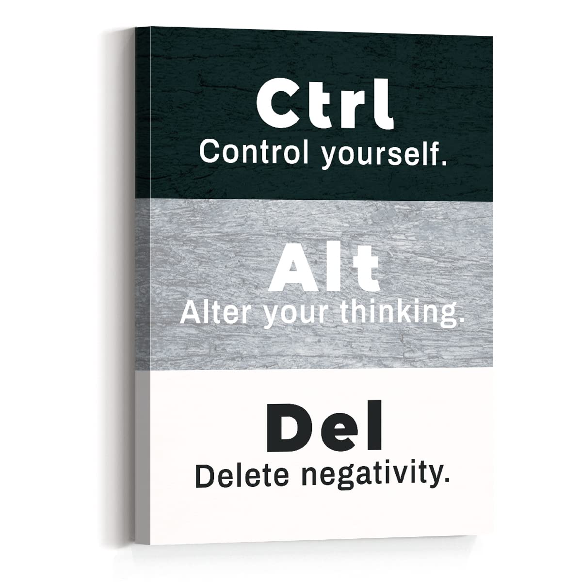 JANLAN Ctrl Alt Delete Wall Art - Motivational Office Decor for Workplace, Inspirational Wall Sign for Self-Control & Positive Thinking - Perfect for Home Office, Coworking Spaces & Corporate Gifts