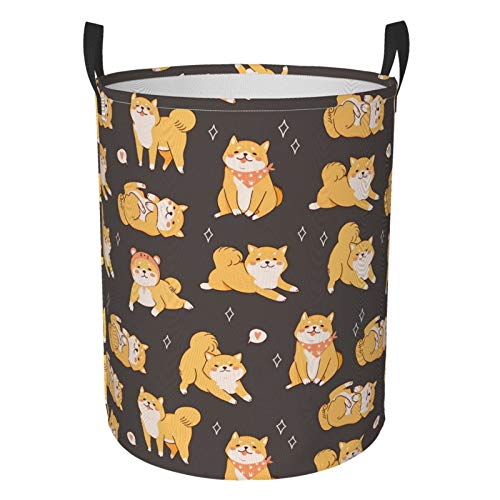 Shiba Inu Dog