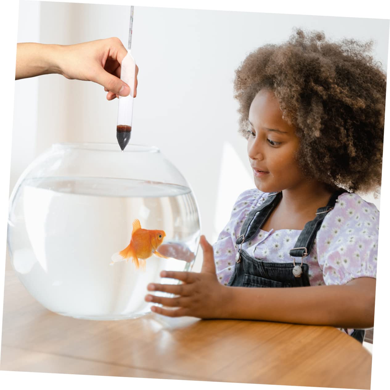 POPETPOP Professional Aquarium Saltwater Hydrometer - Fast & Accurate Salinity Tester for Marine Fish Tanks | Easy to Use | Perfect for Reef Tanks, Saltwater Aquariums & Breeding Environments