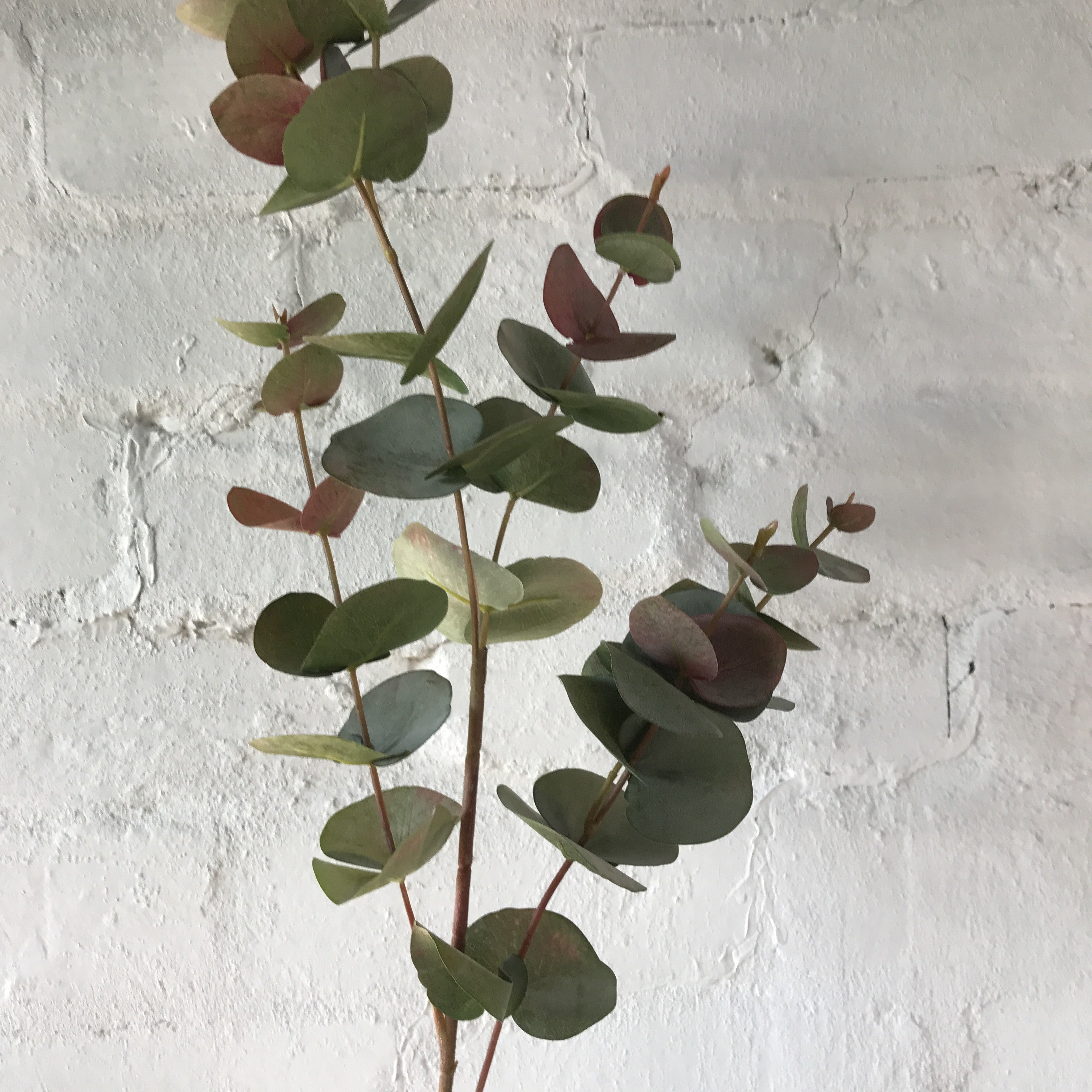 Artificial Red Gum Leaves - 2 Stems for Floral Arrangements, Wedding Decor, and Home Centerpieces | Faux Eucalyptus Branches for DIY Crafts and Seasonal Displays
