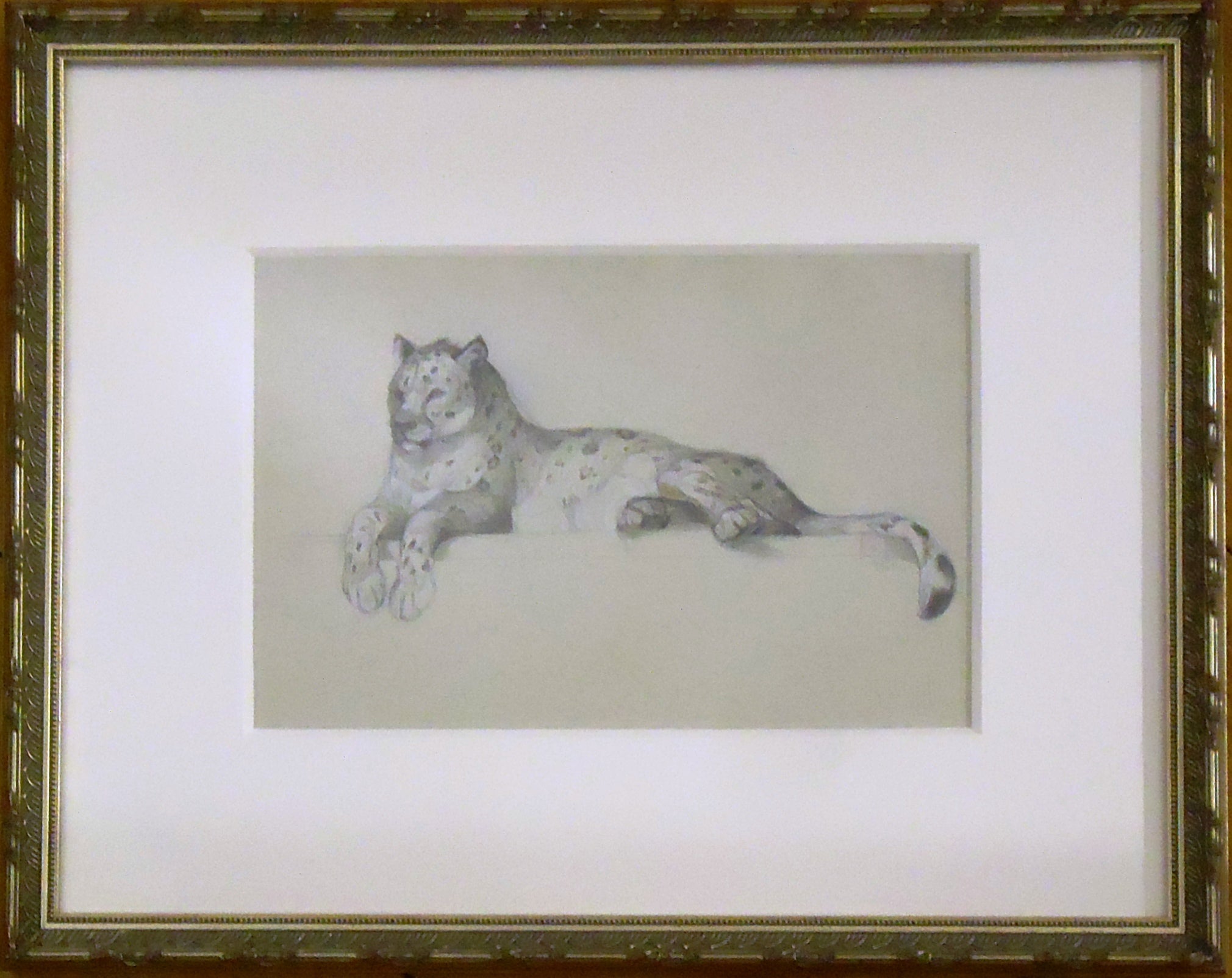 Patricia Traub: Amur Leopard Art Print - Wildlife Home Decor for Living Room, Bedroom & Office - Rare Big Cat Wall Art for Animal Lovers