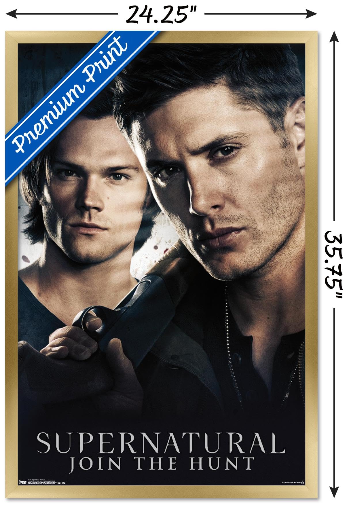 Supernatural TV Show Wall Poster - 22.375 x 34 Inches Gold Framed Art Print | Trendy Home Decor for Living Room, Bedroom & Office | Perfect Gift for Fans of Sam & Dean Winchester