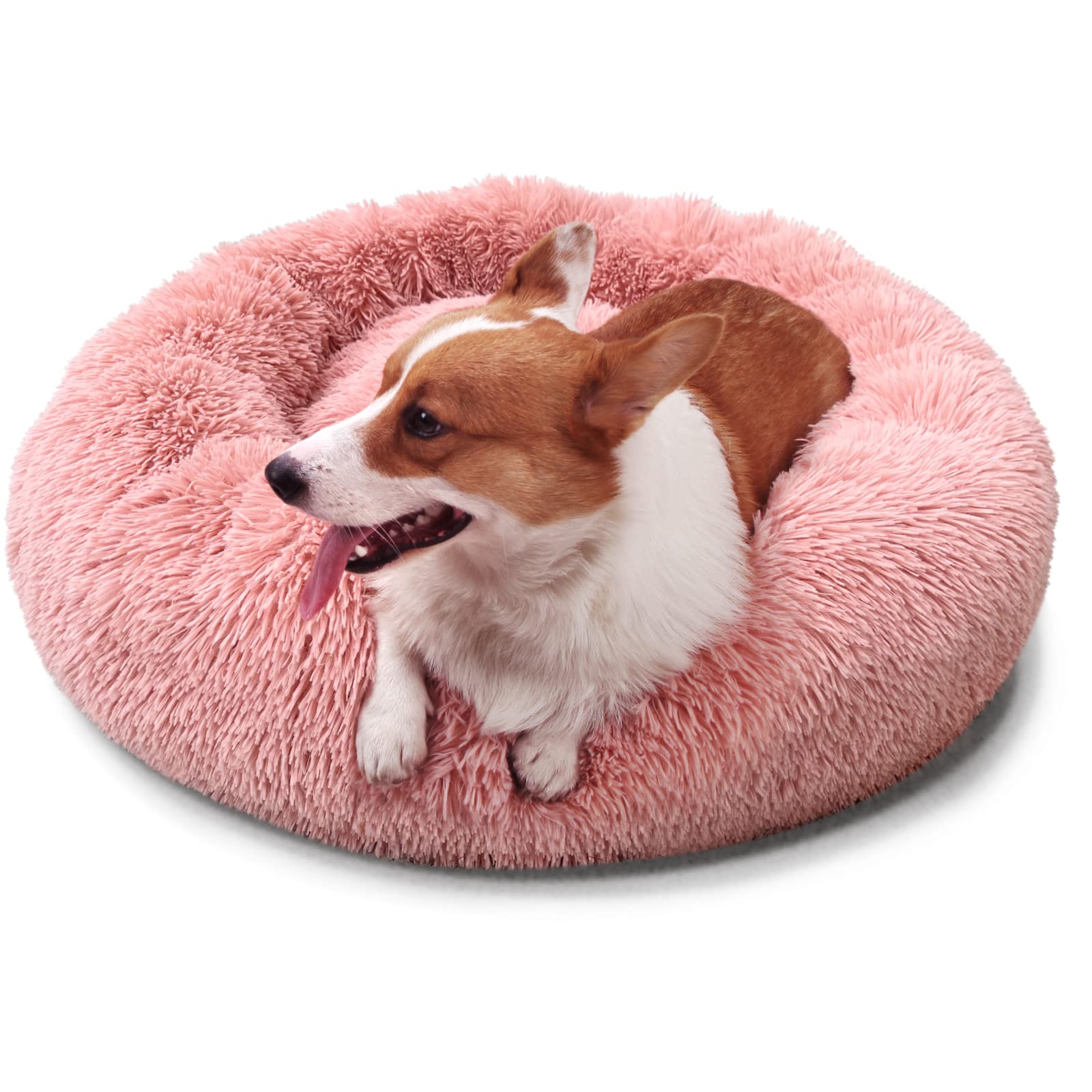 Nononfish Medium Size Orthopedic Dog Bed - Convertible Warming Cuddle Bed for Anti-Anxiety & Joint Relief - Modern Washable Pet Bed for Small to Medium Dogs - Perfect for Crates, Living Rooms & Bedrooms