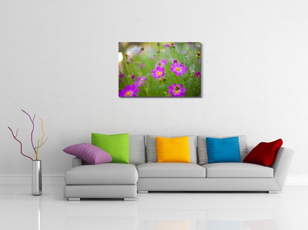 Pink Cosmos Flowers Canvas Print - 32