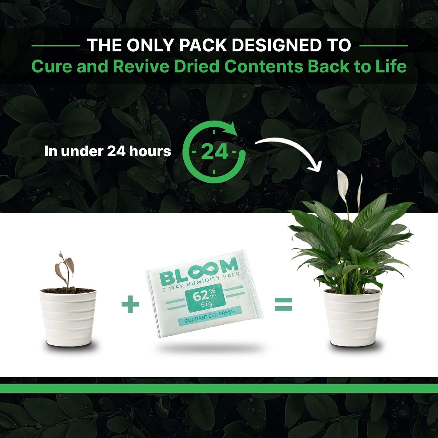 Herb Guard 62% Humidity Control Packs - 4 x 67g Boveda-Style Moisture Packs for Cannabis, Cigars & Herbs | Maintains Perfect Humidity for 1 LB | Revives Dry Products | Ideal for Storage Jars, Humidors & Travel Cases