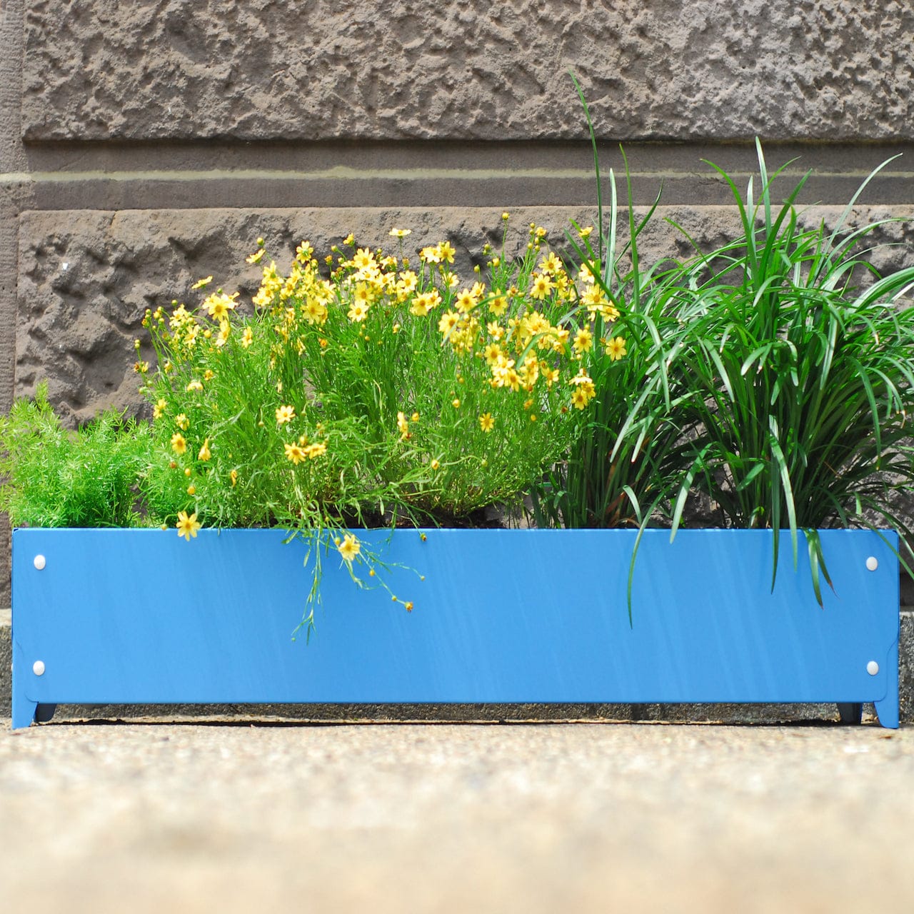 BOLTON Wide Planter Set of 4 - Large Indoor Outdoor Flower Pots for Plants, Succulents & Herbs - Perfect for Patio, Garden, Balcony & Home Decor