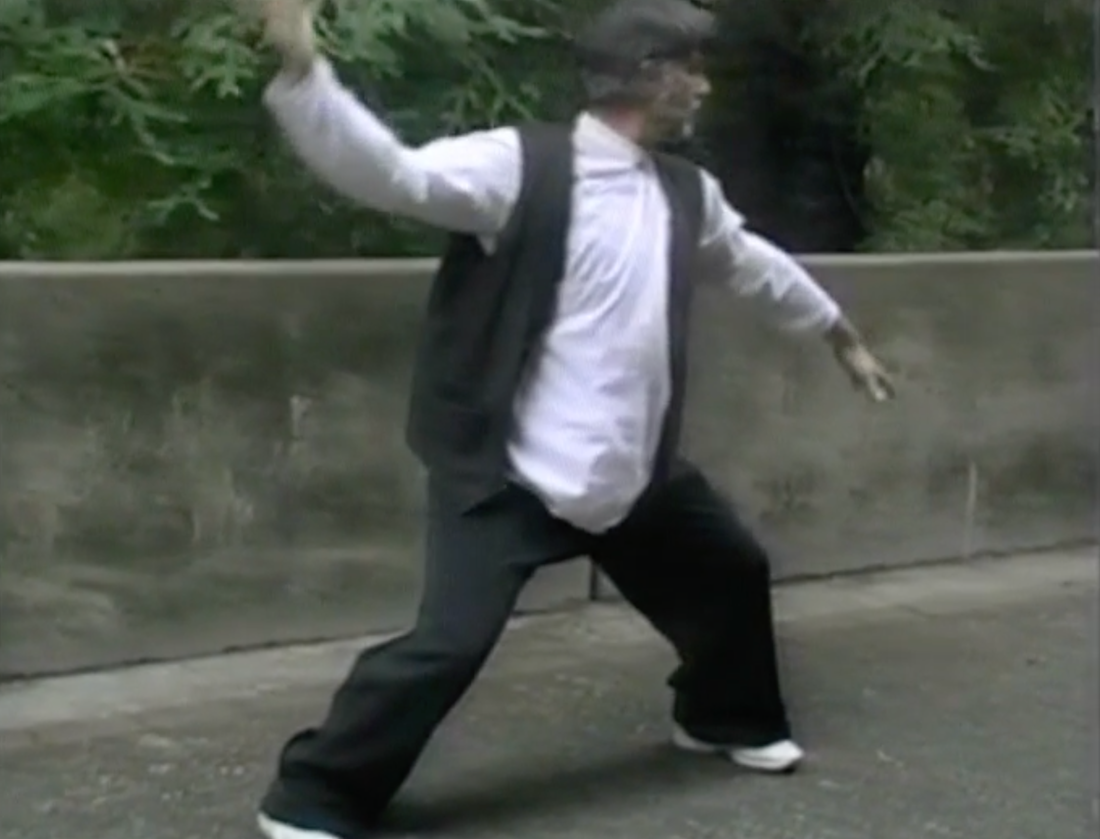 Bagua: The Art of Change DVD 2 by Ted Mancuso (Used) - Learn Ancient Chinese Martial Arts for Self-Defense & Meditation