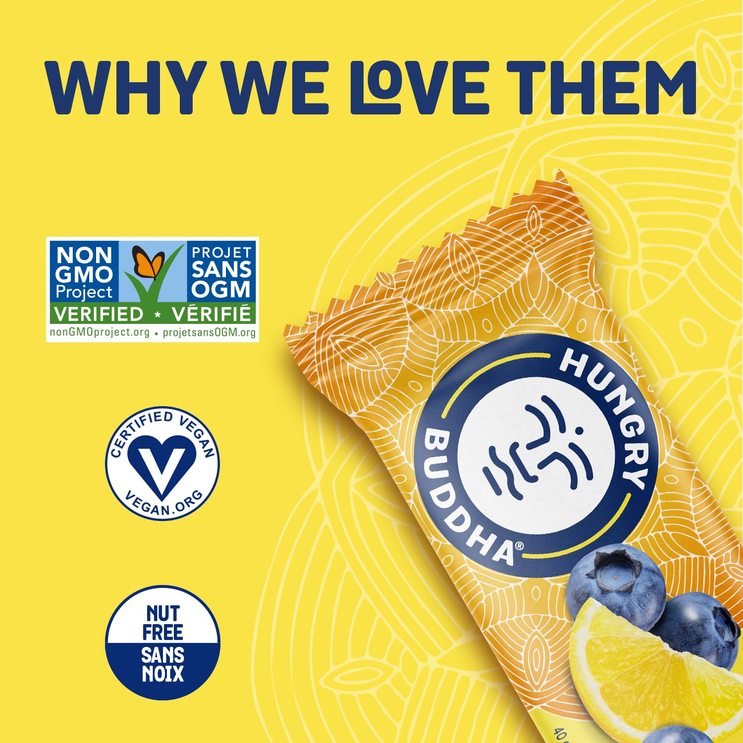 Hungry Buddha Bars - Vegan Protein Bars, Low Sugar, Gluten Free, Keto Friendly, Peanut Free - Plant Based Nutrition Snacks - 12 Pack (Lemon Blueberry) - Perfect for Workouts, Hiking & Healthy On-the-Go Snacking