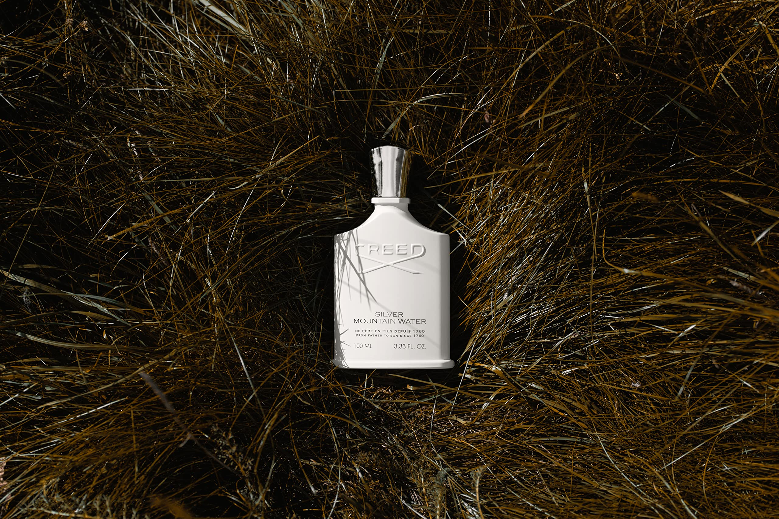 Creed Silver Mountain Water for Men - Premium Luxury Cologne with Citrus, Fruity & Woody Notes - Long Lasting Eau de Parfum - Perfect for Date Night, Office & Special Occasions