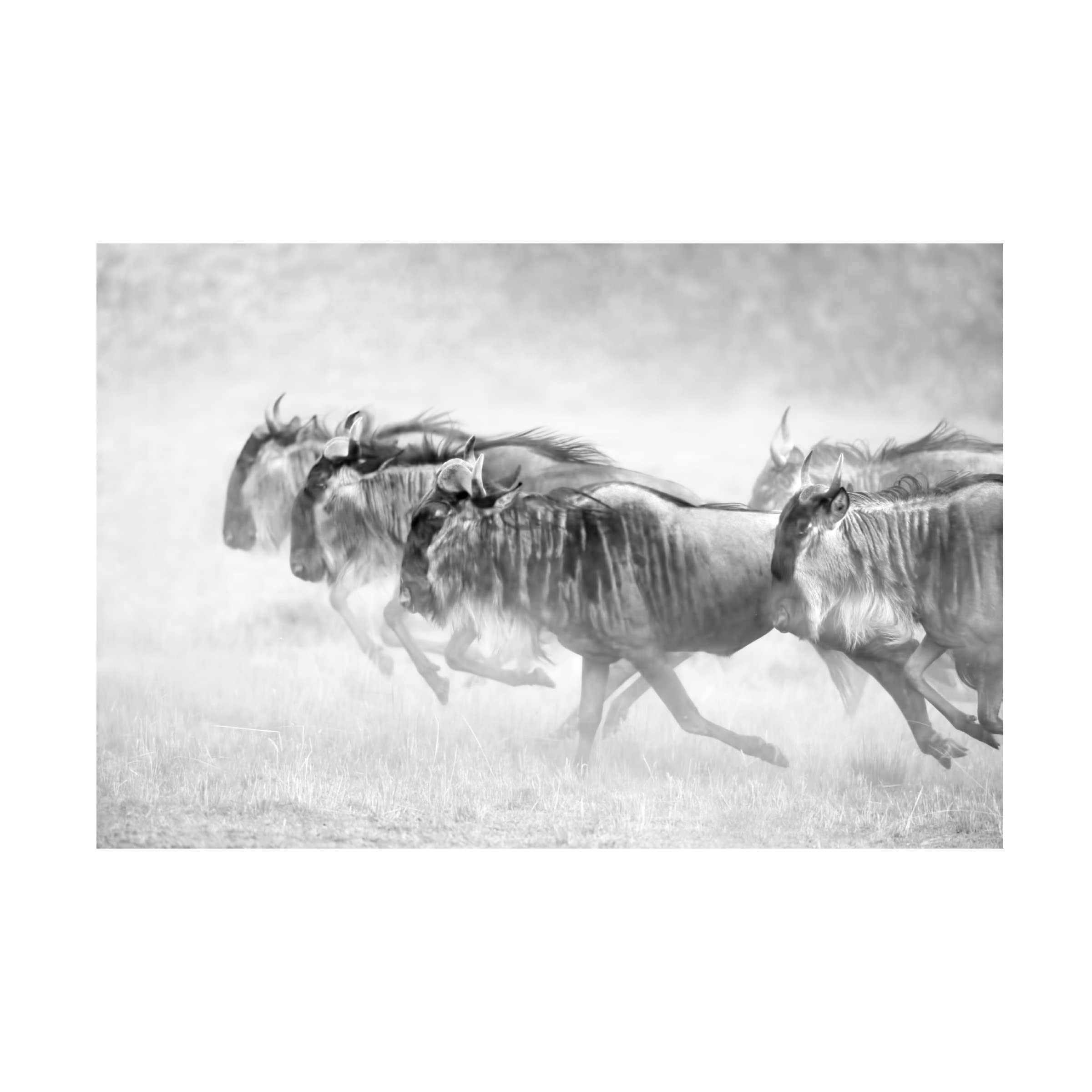 John Fan 'Unstoppable' Canvas Wall Art Print - Modern Inspirational Home Decor for Living Room, Bedroom & Office - Trademark Fine Art Collection