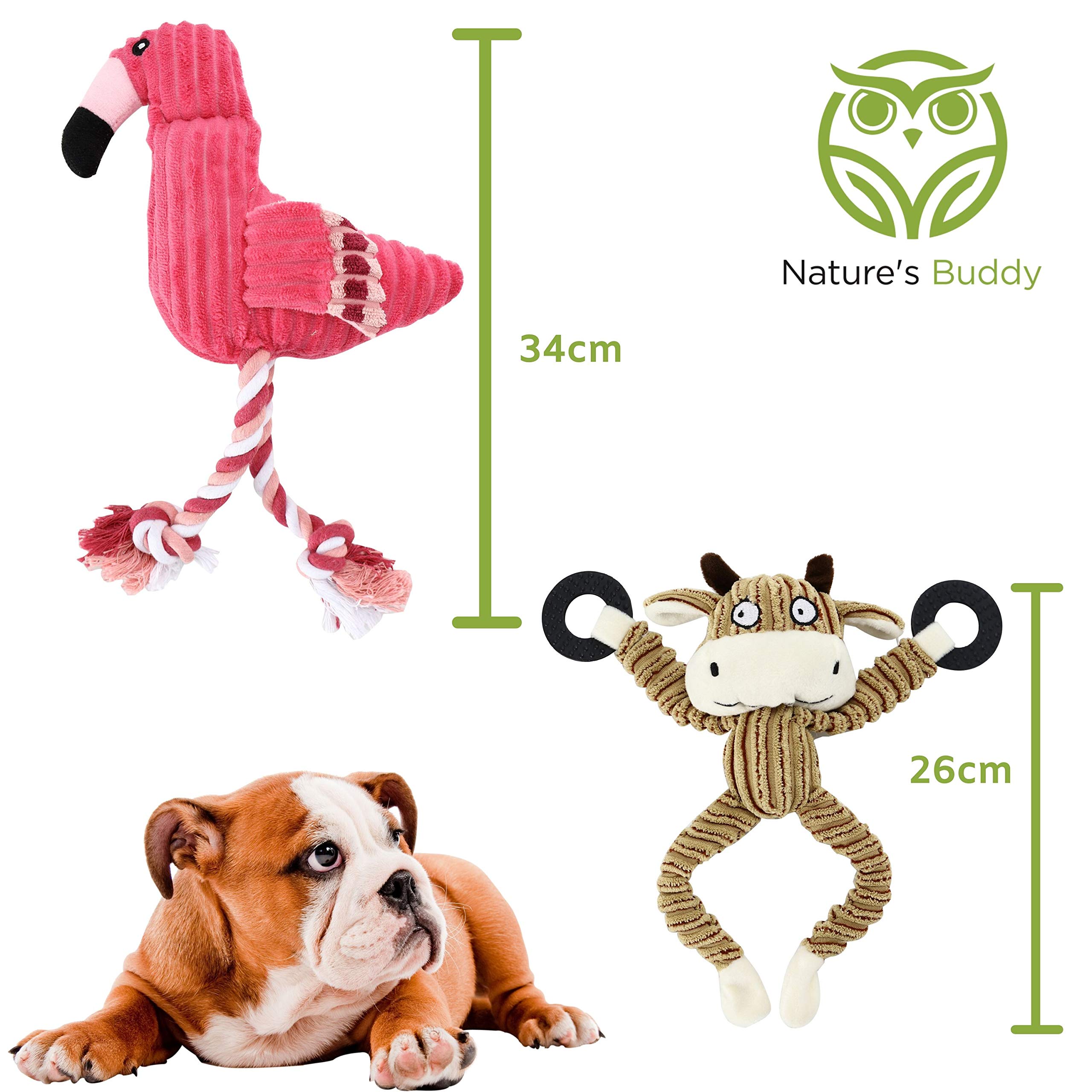 Nature’s Buddy Plush Dog Toys - 5 Pack Squeaky Chew Toys for Puppies & Small Dogs - Durable, Soft & Interactive No-Stuffing Bundle (3 Varieties) - Perfect for Playtime, Training & Cuddling