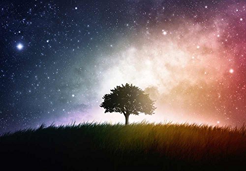 Multicolored Night Sky